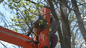 Hydraulic hedge trimmer (tree pruning machine) - А.ТОМ 150 (C/N 4.142) 